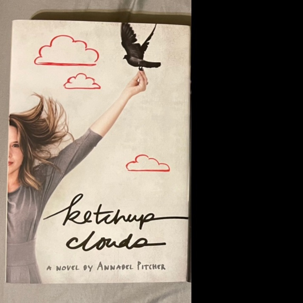 New hardcover bk: Ketchup Clouds - Annabel Pitcher